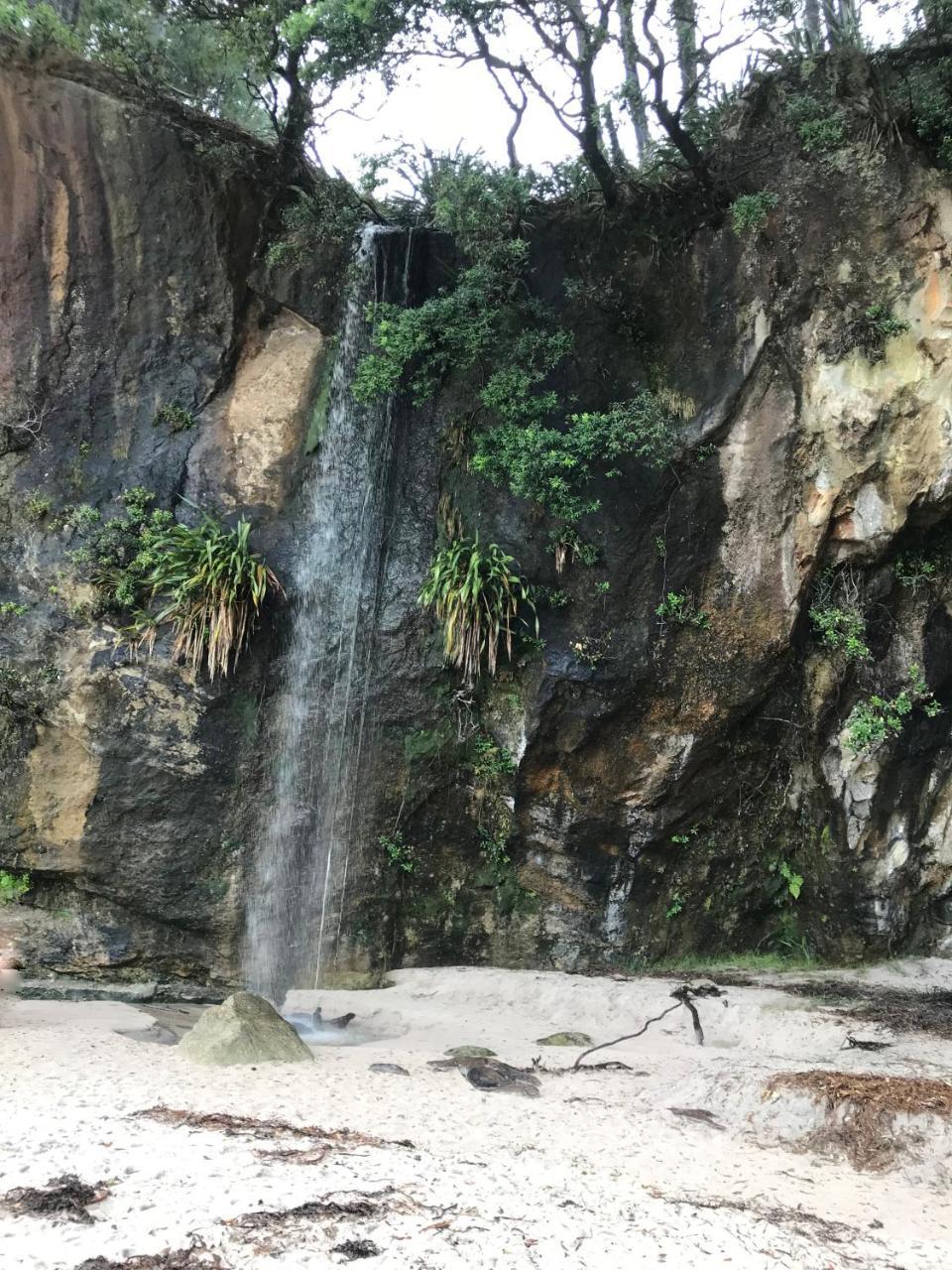 Hahei Retreat Otel Dış mekan fotoğraf