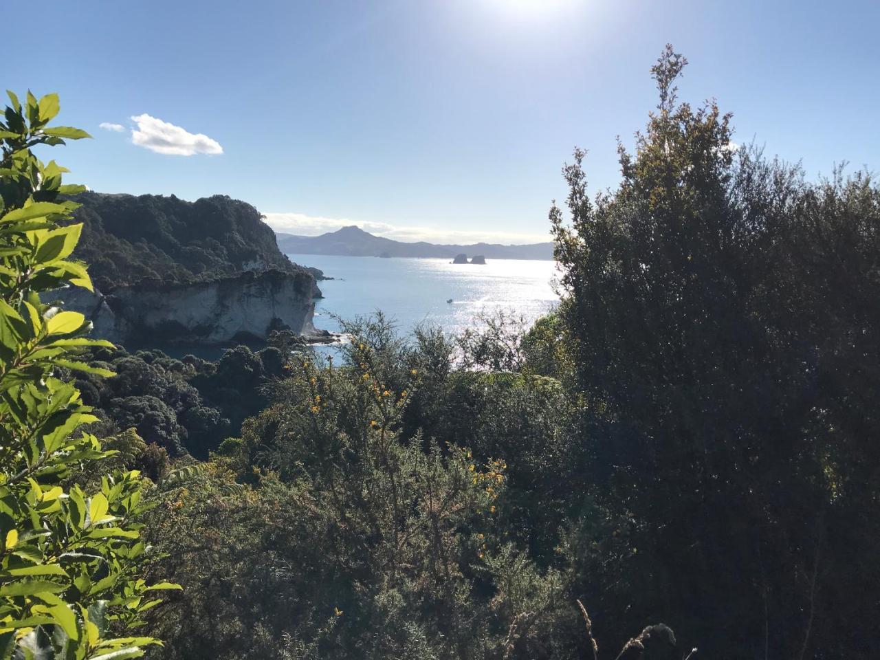 Hahei Retreat Otel Dış mekan fotoğraf